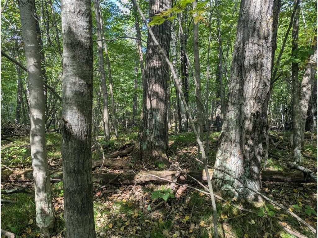 L23 B32 Shady Trail Breezy Point MN 56472 7061616 image7