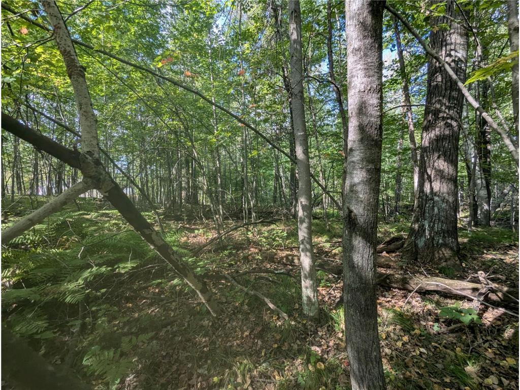 L23 B32 Shady Trail Breezy Point MN 56472 7061616 image9