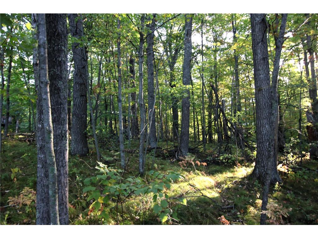 L24 B2 WB16 Scenic Overlook Drive Breezy Point MN 56472 6582341 image1