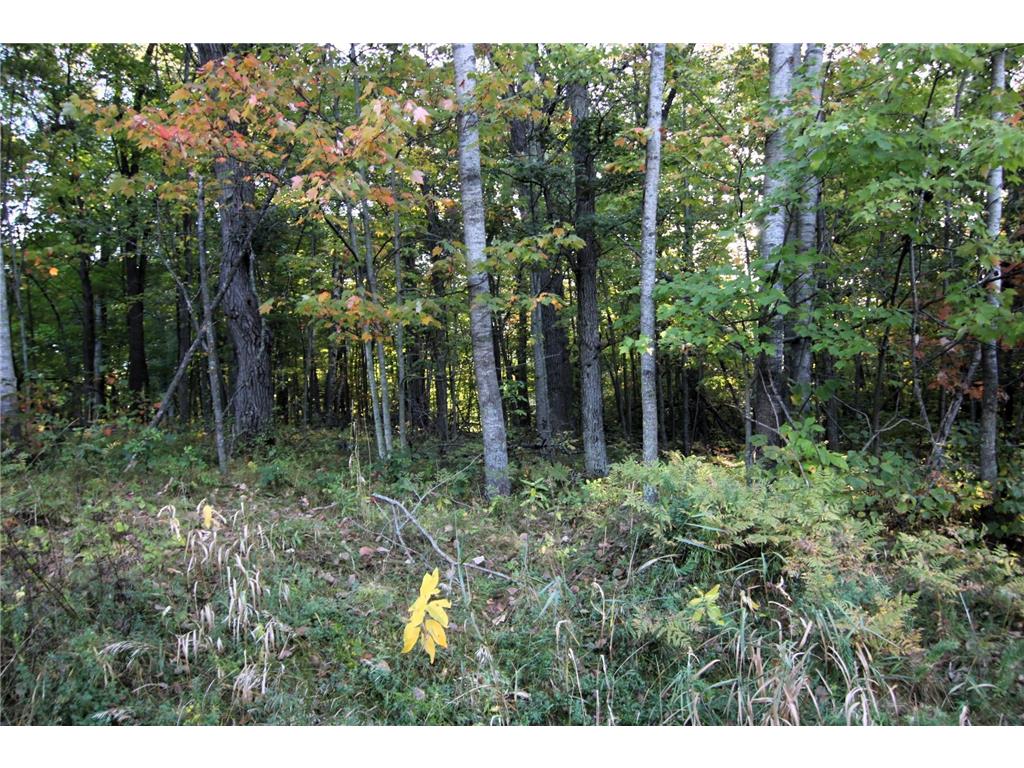 L24 B2 WB16 Scenic Overlook Drive Breezy Point MN 56472 6582341 image3