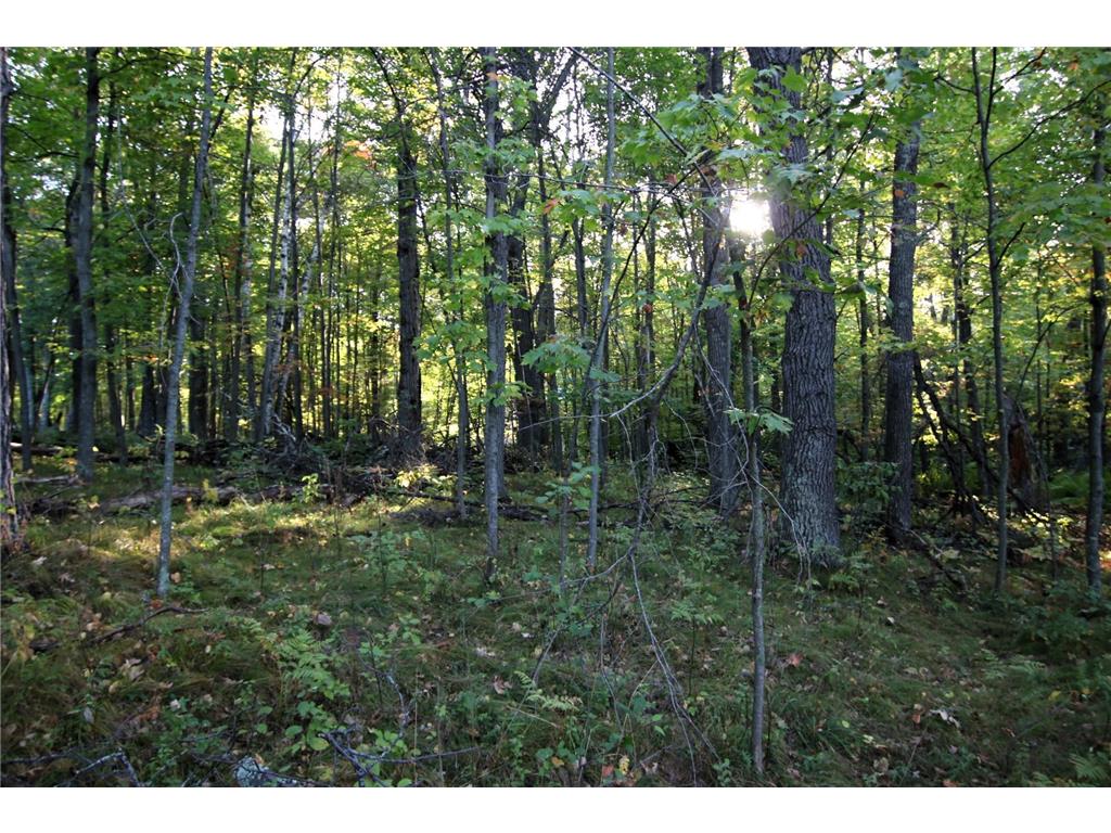 L24 B2 WB16 Scenic Overlook Drive Breezy Point MN 56472 6582341 image4