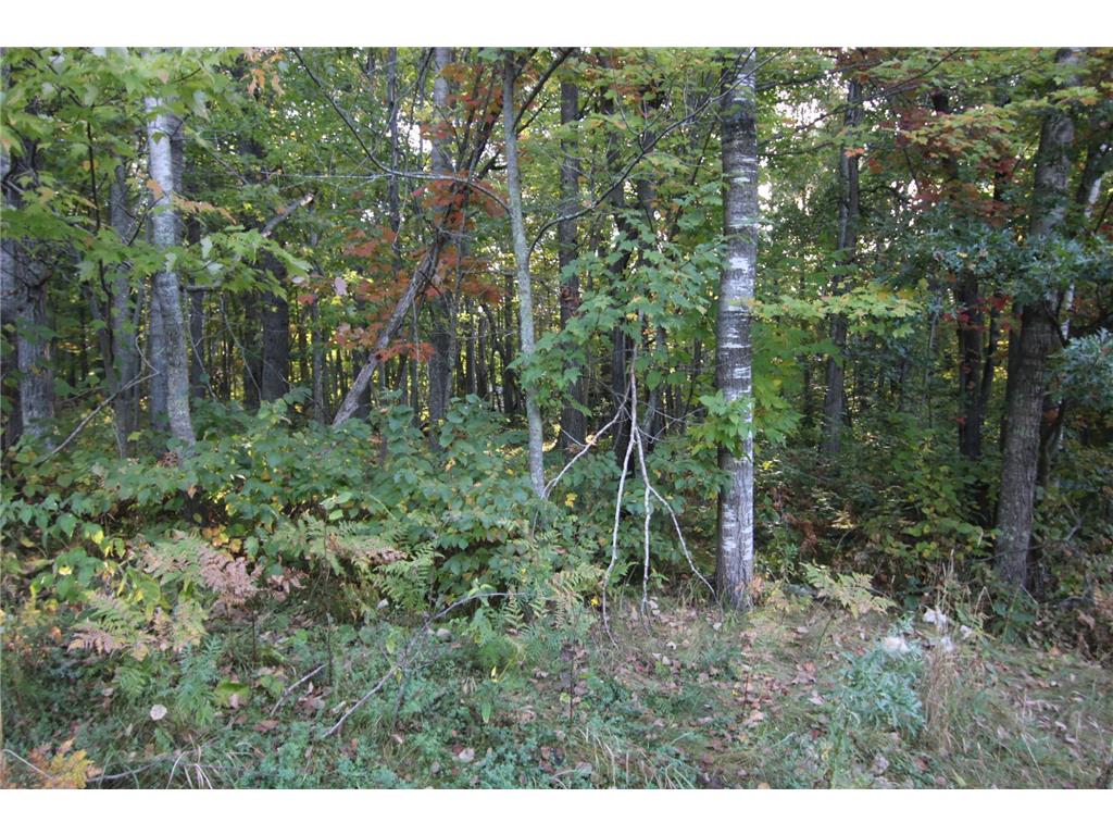 L24 B2 WB16 Scenic Overlook Drive Breezy Point MN 56472 6582341 image5