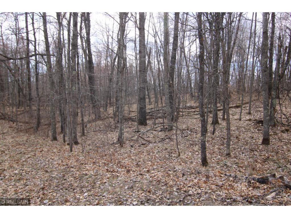 L24 B2 WB16 Scenic Overlook Drive Breezy Point MN 56472 6582341 image6