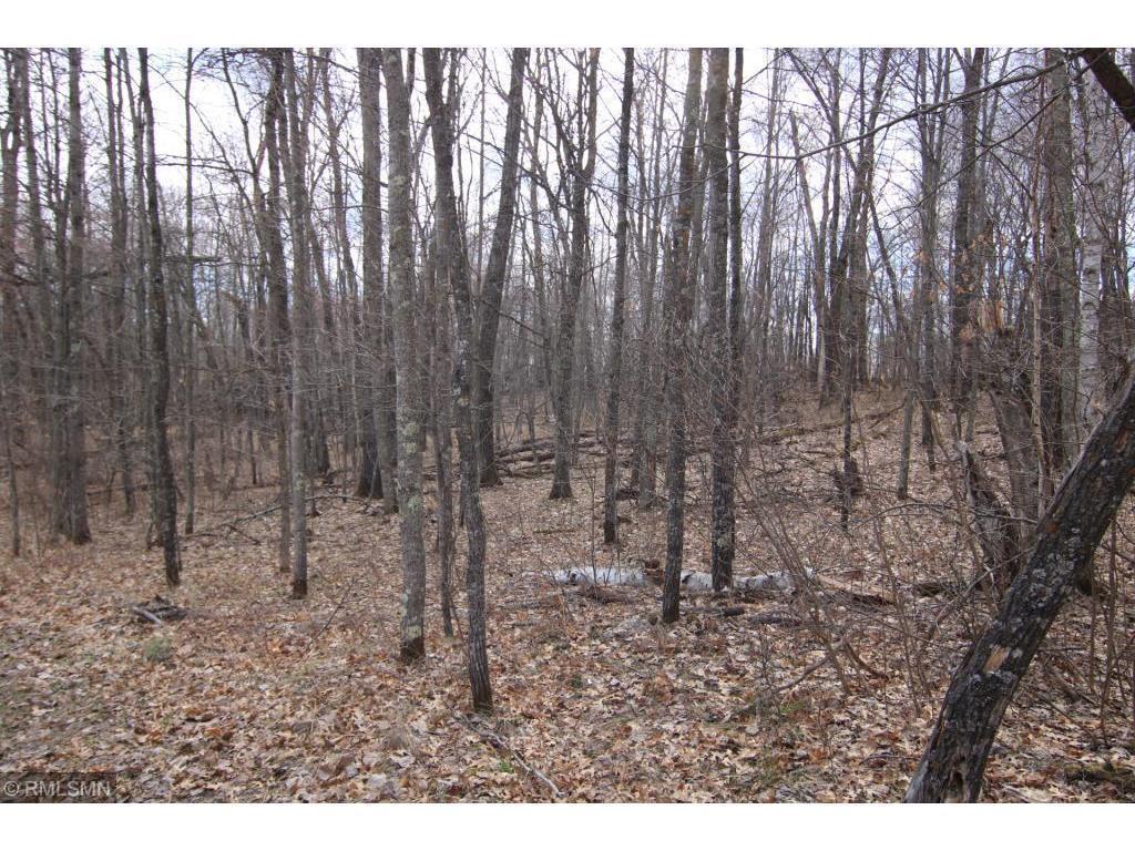 L24 B2 WB16 Scenic Overlook Drive Breezy Point MN 56472 6582341 image7