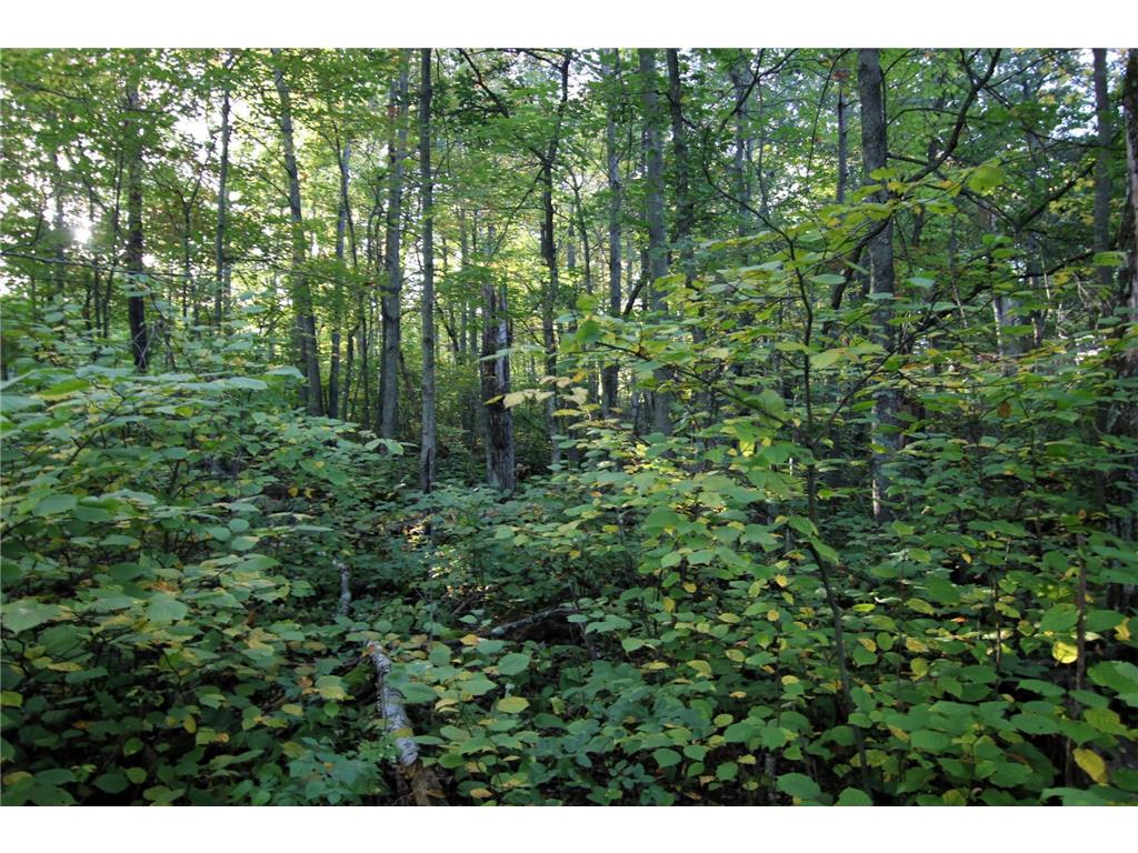 L3 B13 WB15 Winter Trail Breezy Point MN 56472 6582349 image1