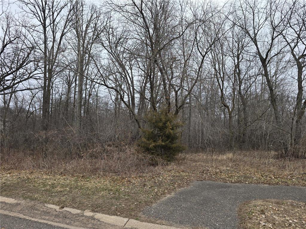 L3B2 288th Avenue NW Baldwin Twp MN 55398 7015687 image2