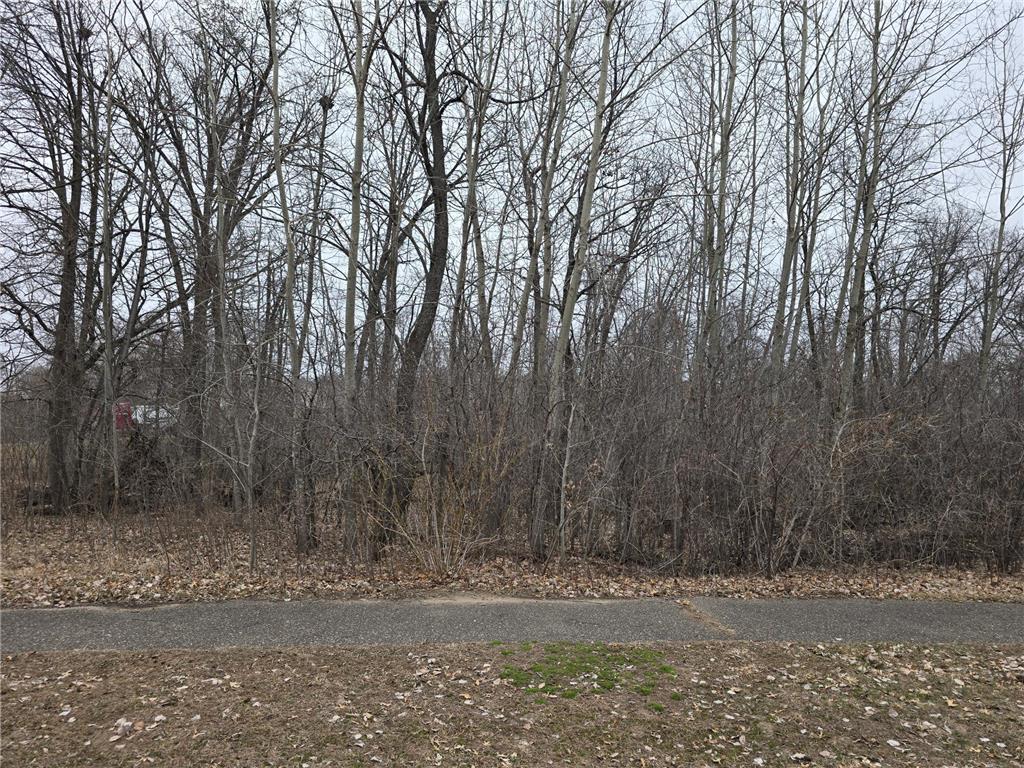 L3B2 288th Avenue NW Baldwin Twp MN 55398 7015687 image4