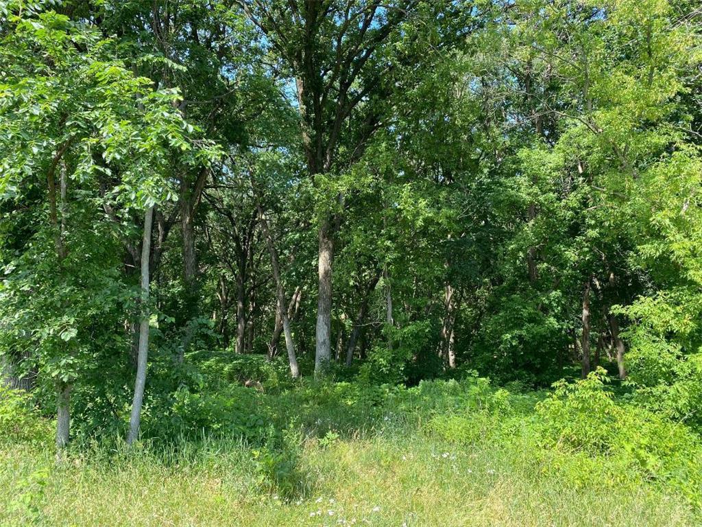 L3 B2 54th Street SE Clear Lake MN 55319 - Rush 6228789 image1