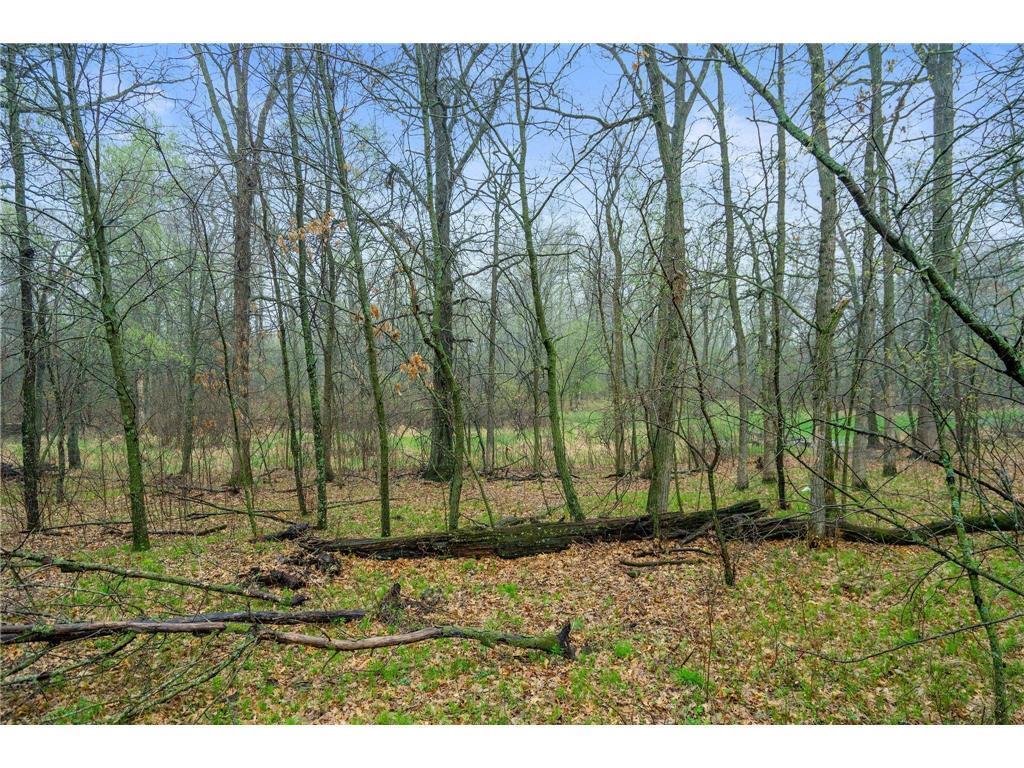 L3 B5 121st Street SE Big Lake MN 55309 6768810 image6