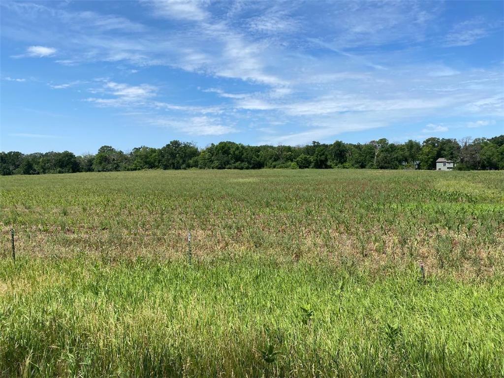 L35 B1 115th Avenue SE Clear Lake MN 55319 6228884 image1