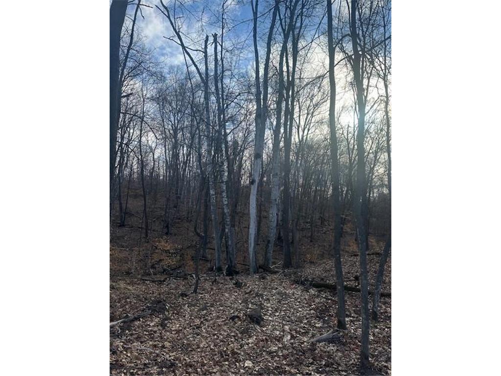 L3B2 Wilderness Parkway Crosslake MN 56442 6693292 image1