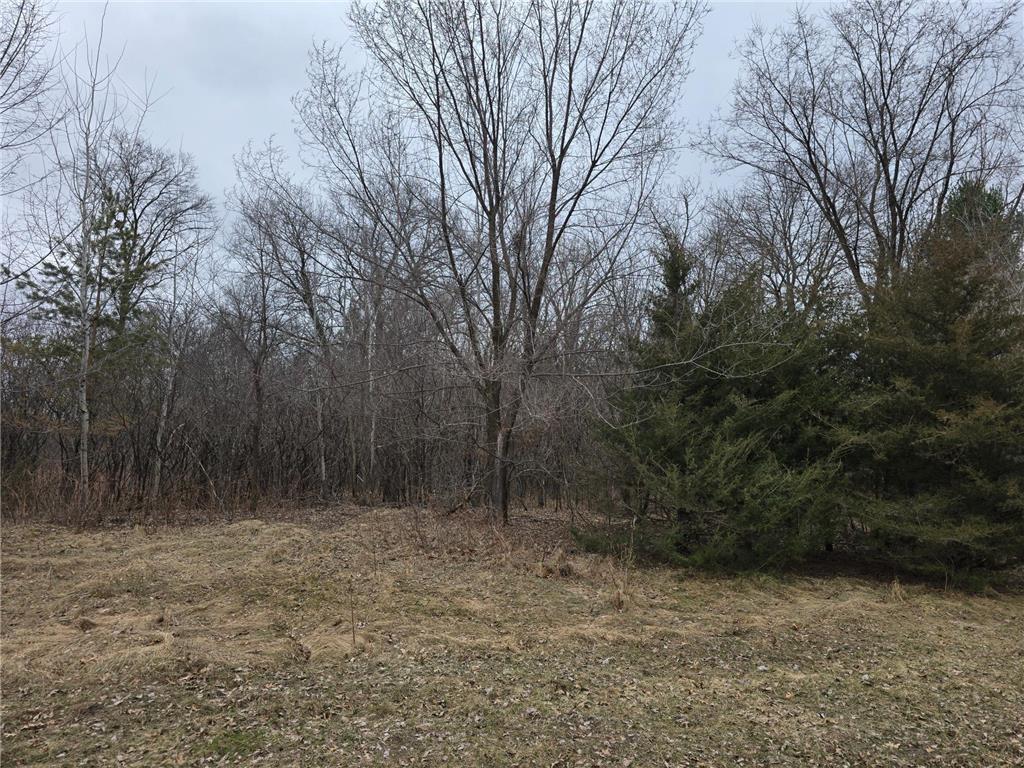 L4B1 288th Avenue NW Baldwin Twp MN 55398 7052980 image1