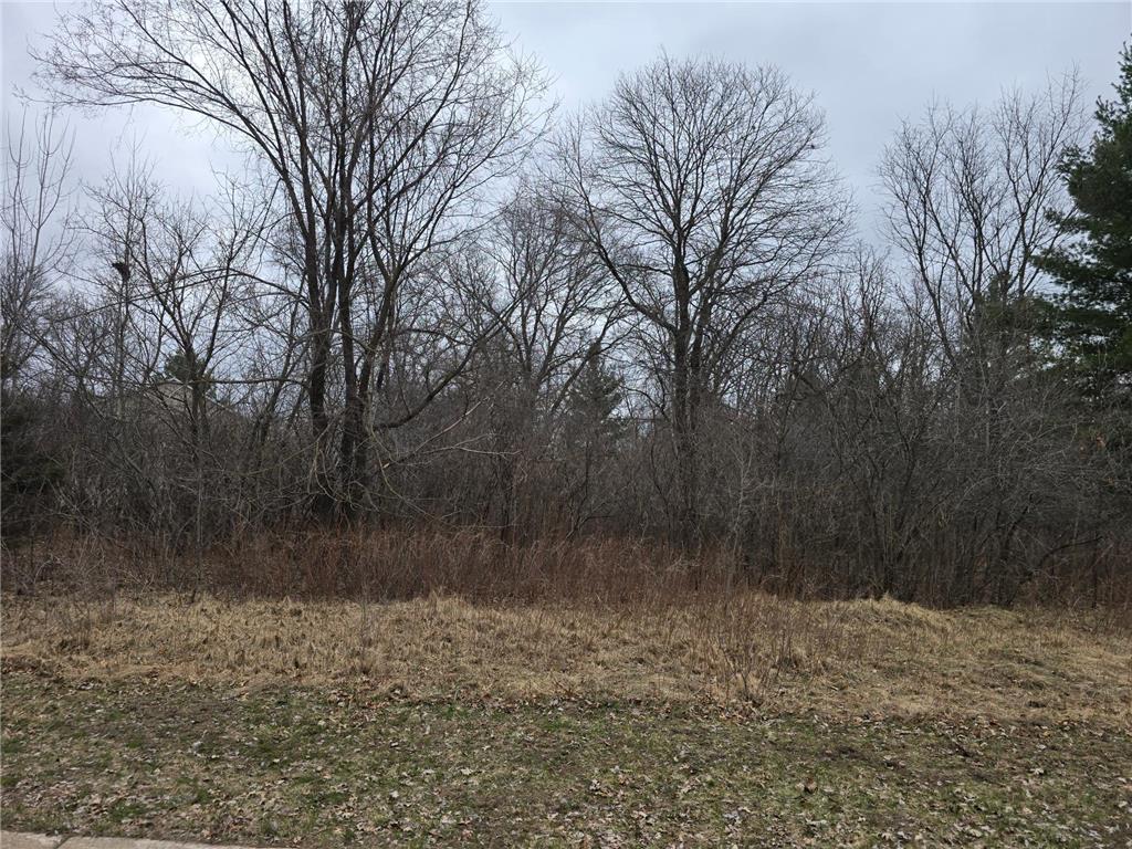 L4B1 288th Avenue NW Baldwin Twp MN 55398 7052980 image2