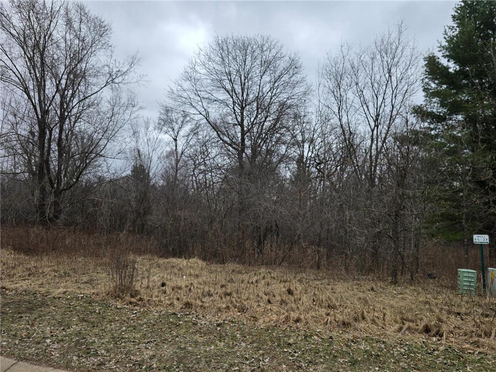 L4B1 288th Avenue NW Baldwin Twp MN 55398 7052980 image3