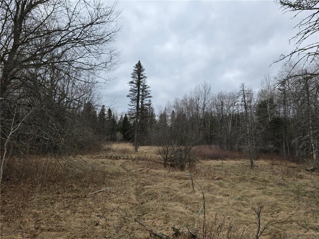 L4B3 288th Avenue NW Baldwin Twp MN 55398 7052914 image1