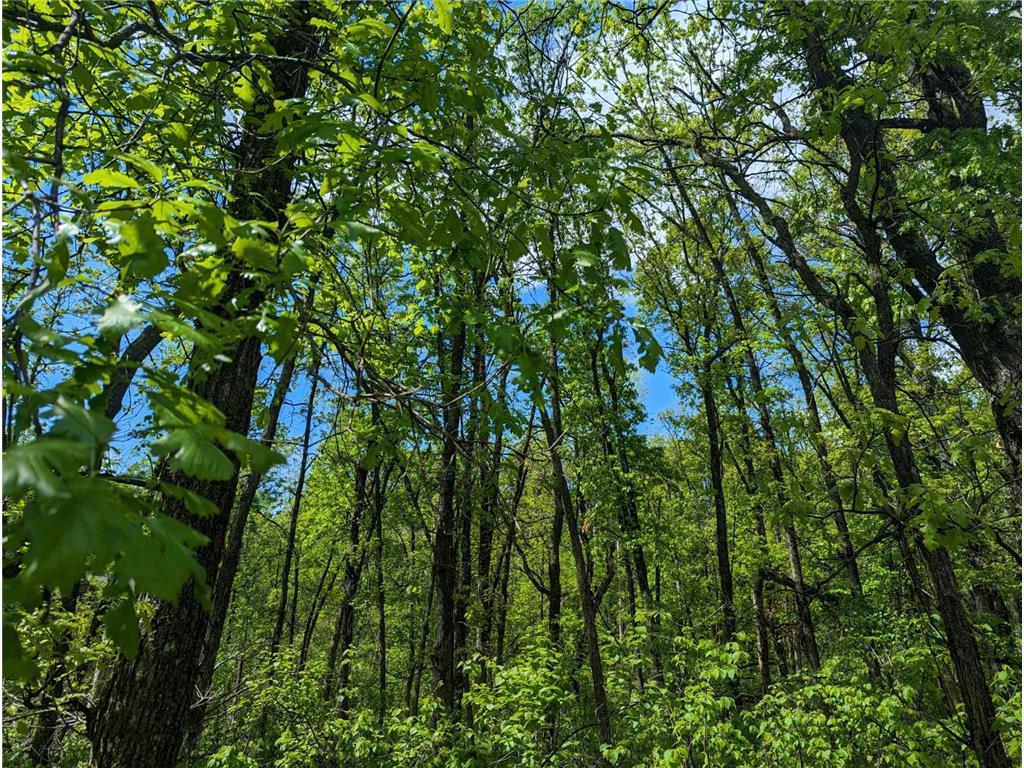 L44 B1 Navaho Trail Breezy Point MN 56472 7034423 image2