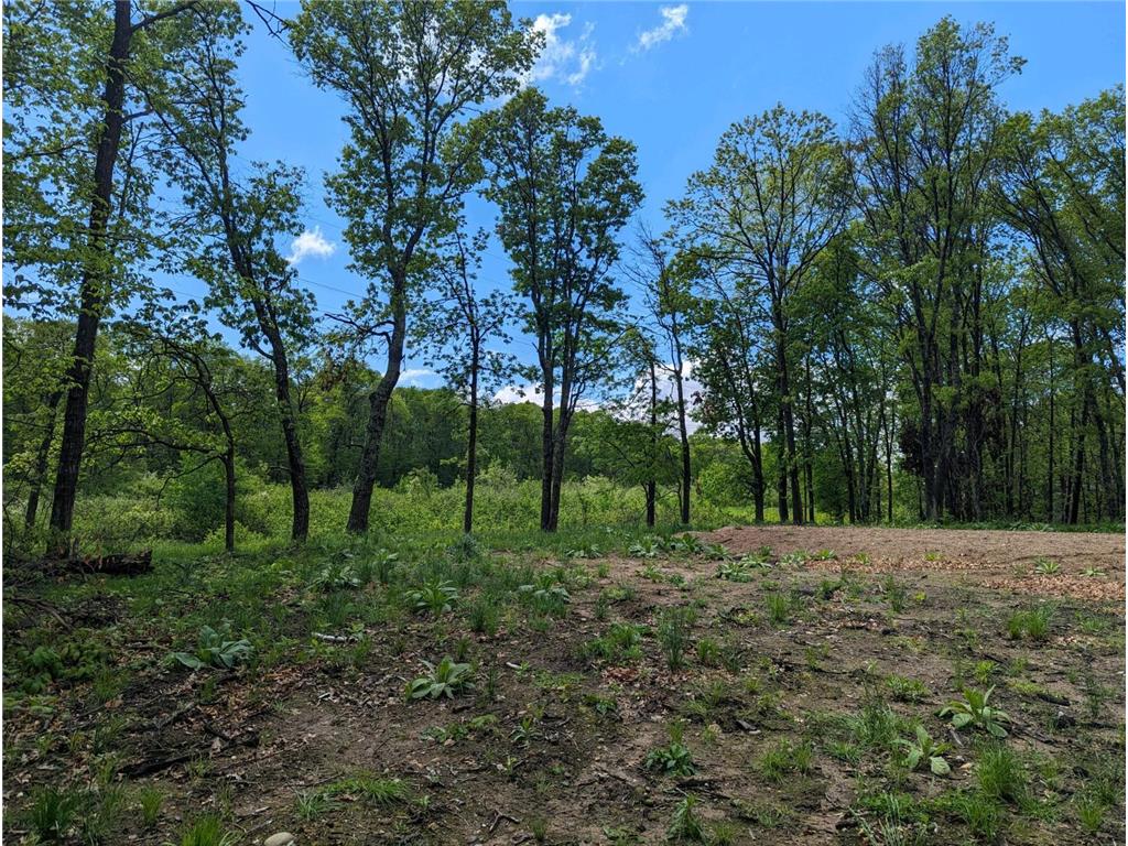L44 B1 Navaho Trail Breezy Point MN 56472 7034423 image3