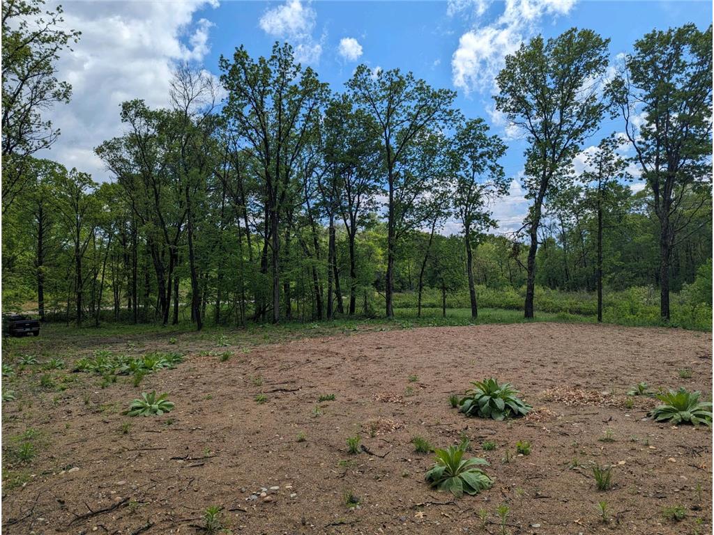 L44 B1 Navaho Trail Breezy Point MN 56472 7034423 image5