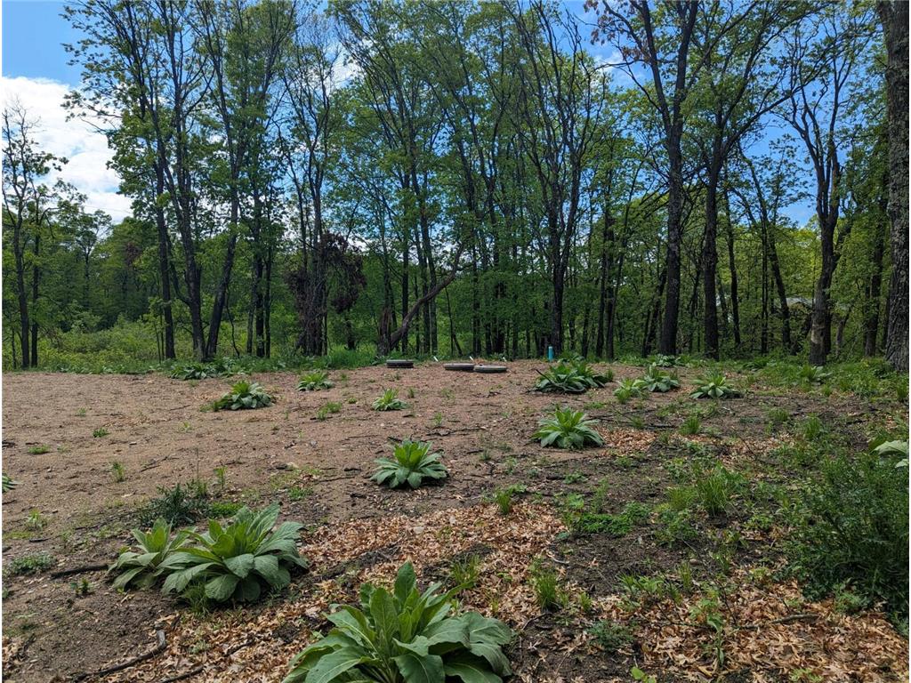 L44 B1 Navaho Trail Breezy Point MN 56472 7034423 image6