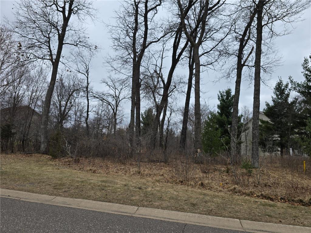L6B1 288th Avenue NW Baldwin Twp MN 55398 7053013 image1