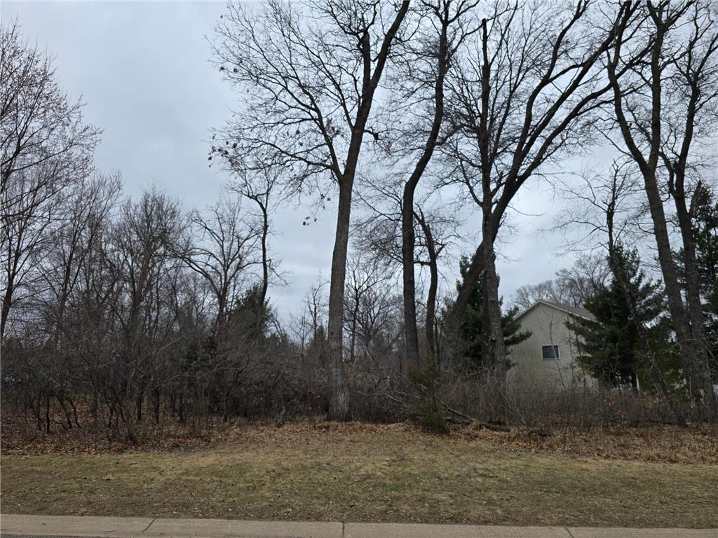 L6B1 288th Avenue NW Baldwin Twp MN 55398 7053013 image2