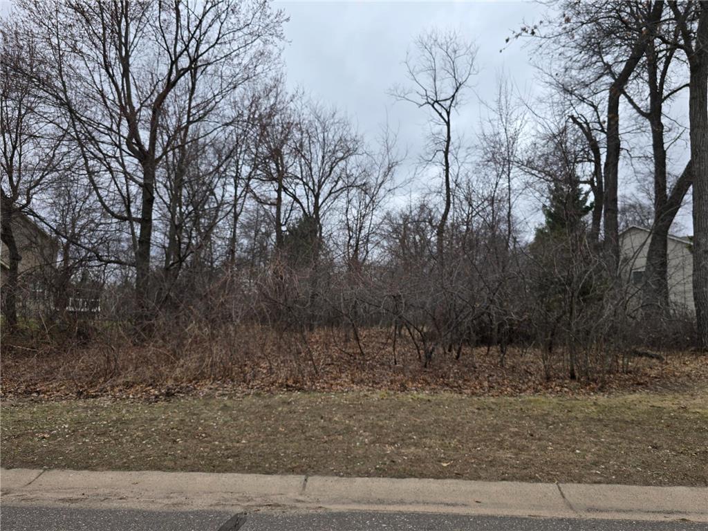 L6B1 288th Avenue NW Baldwin Twp MN 55398 7053013 image3