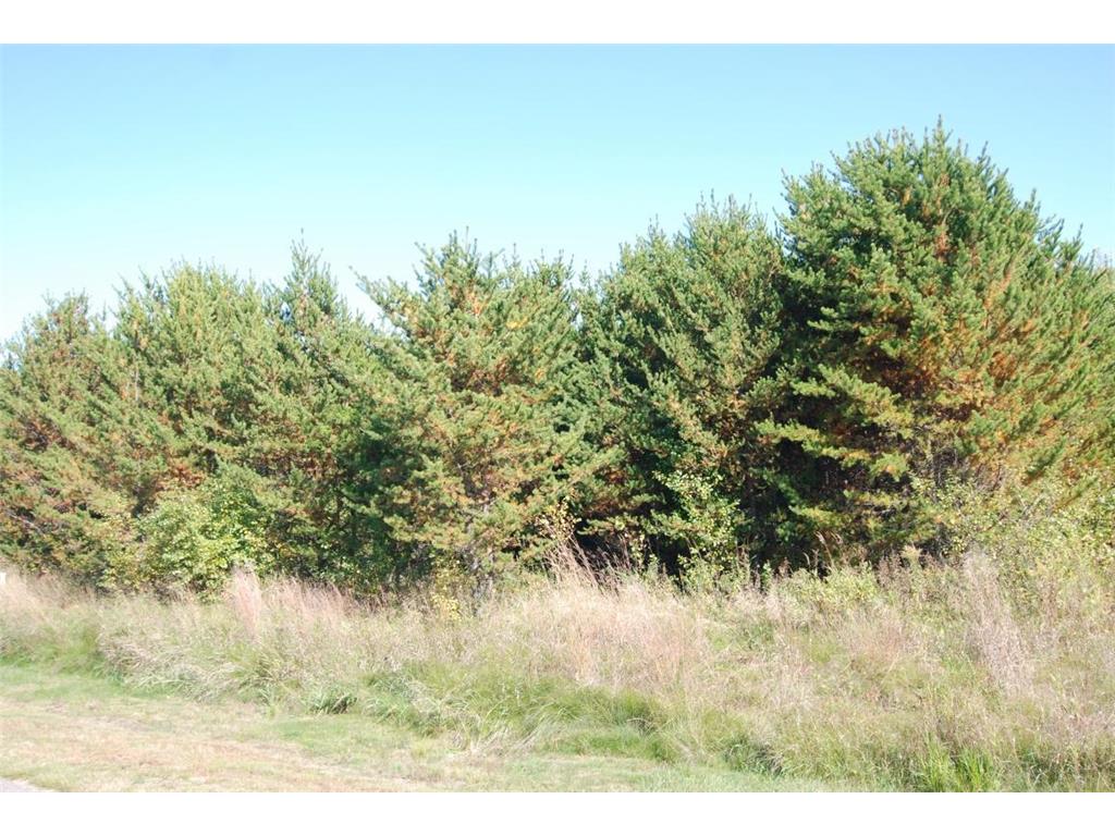 L6 B1 Meadow Court Baxter MN 56425 6446315 image14