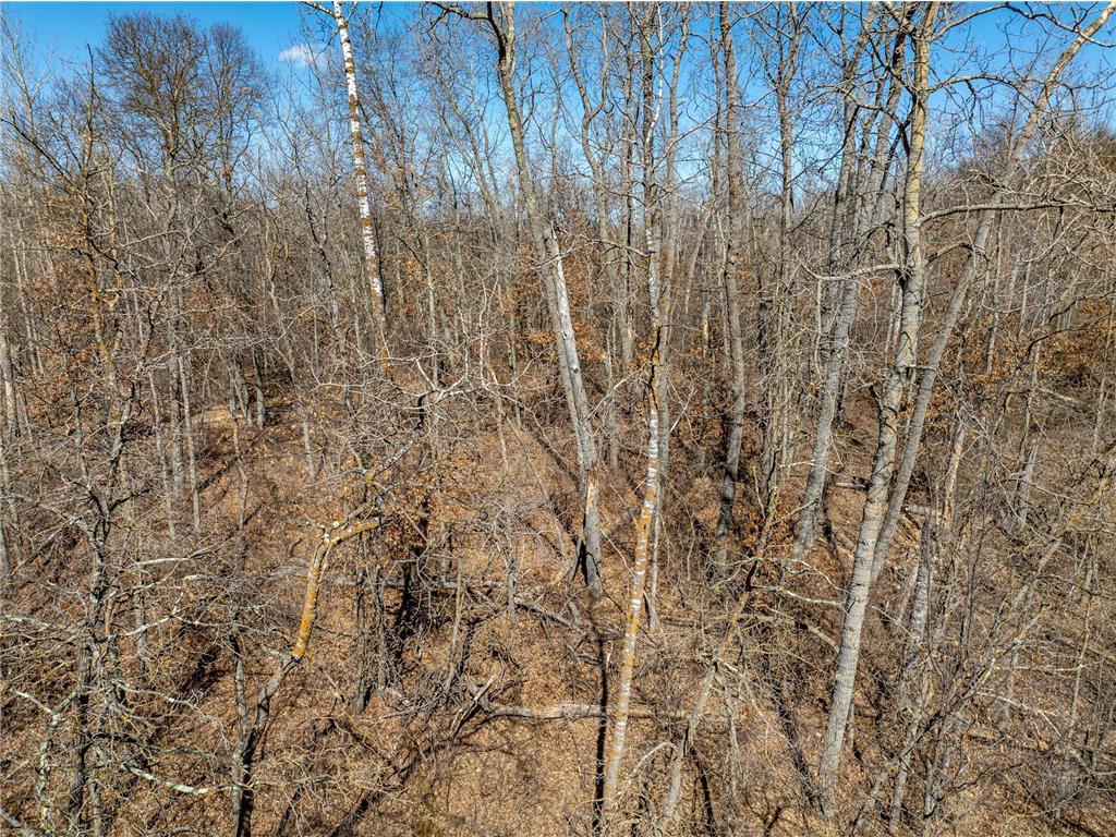 L7B1 TBD Ski Chalet Drive Breezy Point MN 56472 7051530 image11