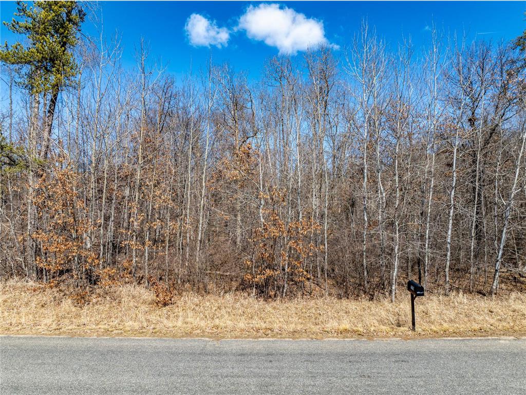 L7B1 TBD Ski Chalet Drive Breezy Point MN 56472 7051530 image2