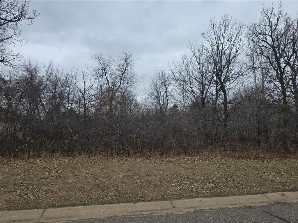 L8B1 288th Avenue Baldwin Twp MN 55398 7015638 image2