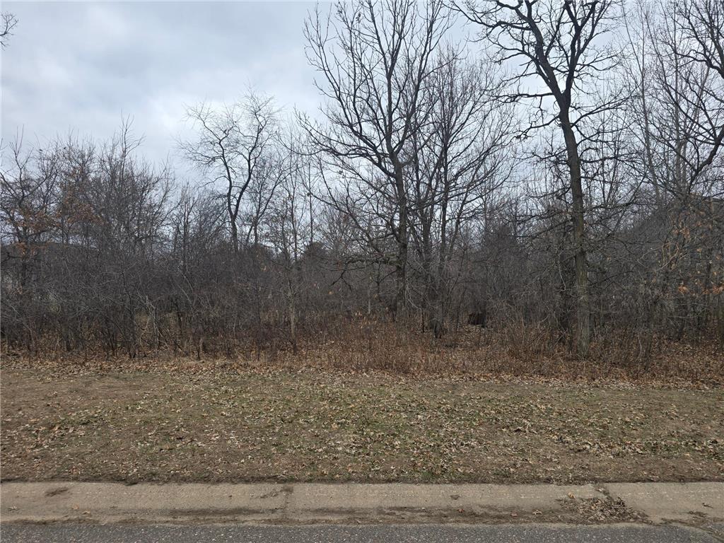 L8B1 288th Avenue Baldwin Twp MN 55398 7015638 image3