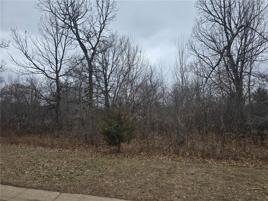 L8B1 288th Avenue Baldwin Twp MN 55398 7015638 image4