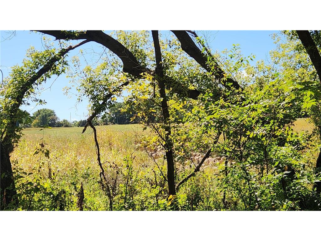 L8B1 Miller Place NW Rochester MN 55901 7034966 image11