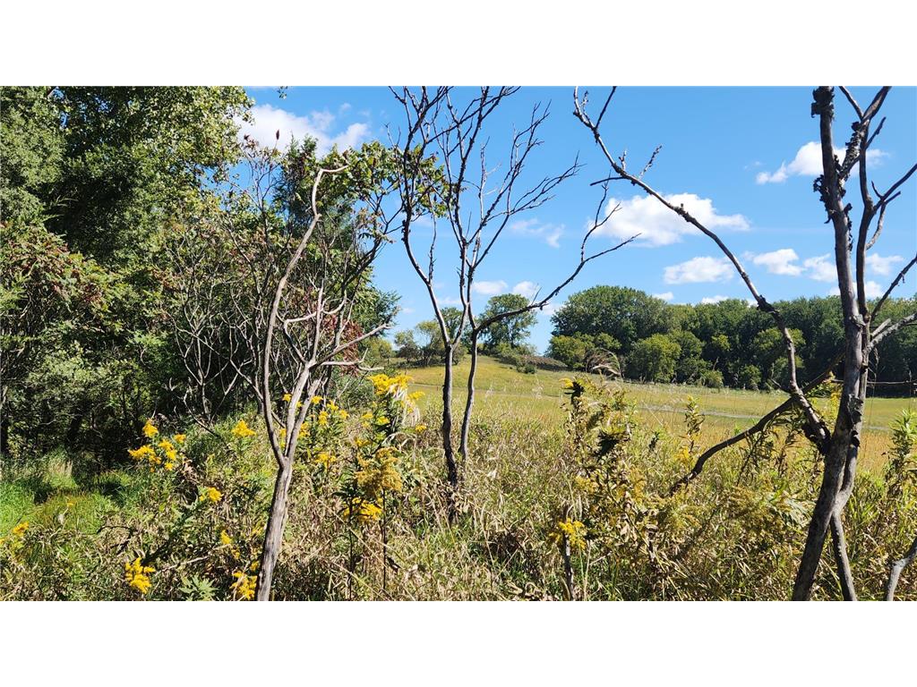 L8B1 Miller Place NW Rochester MN 55901 7034966 image13