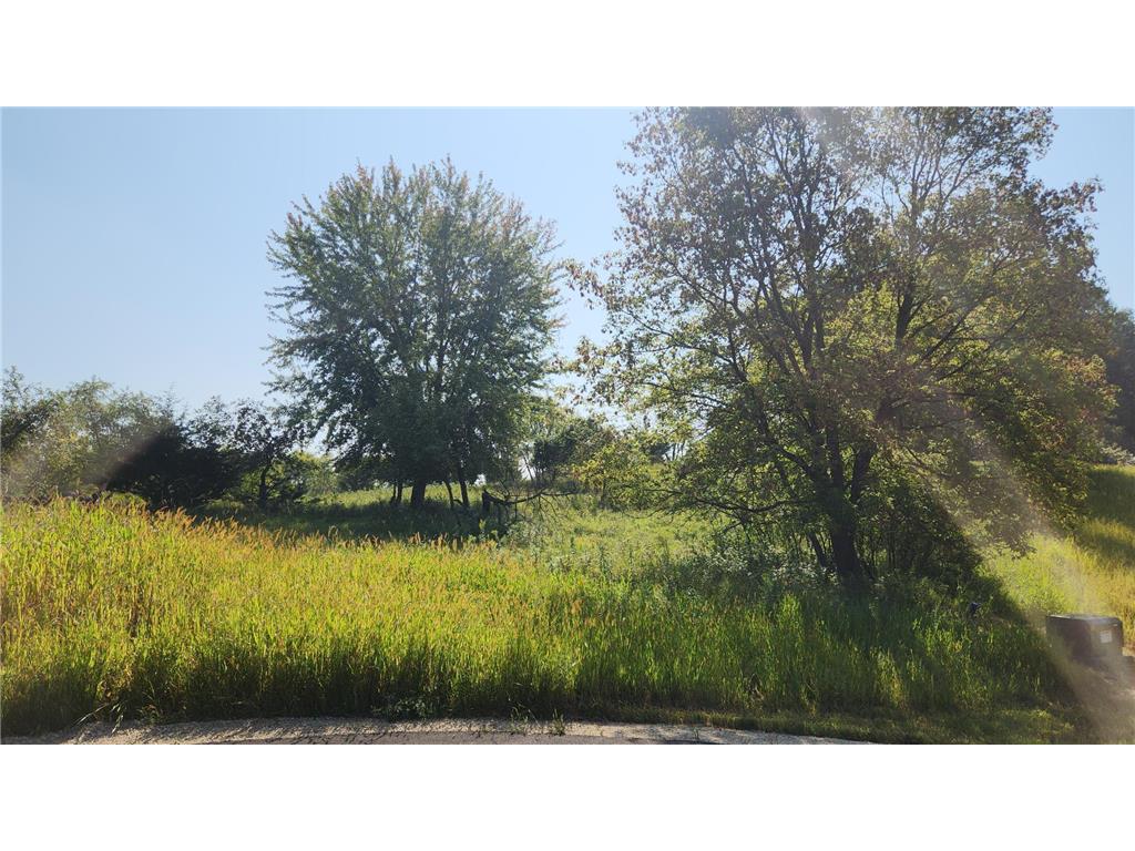 L8B1 Miller Place NW Rochester MN 55901 7034966 image18