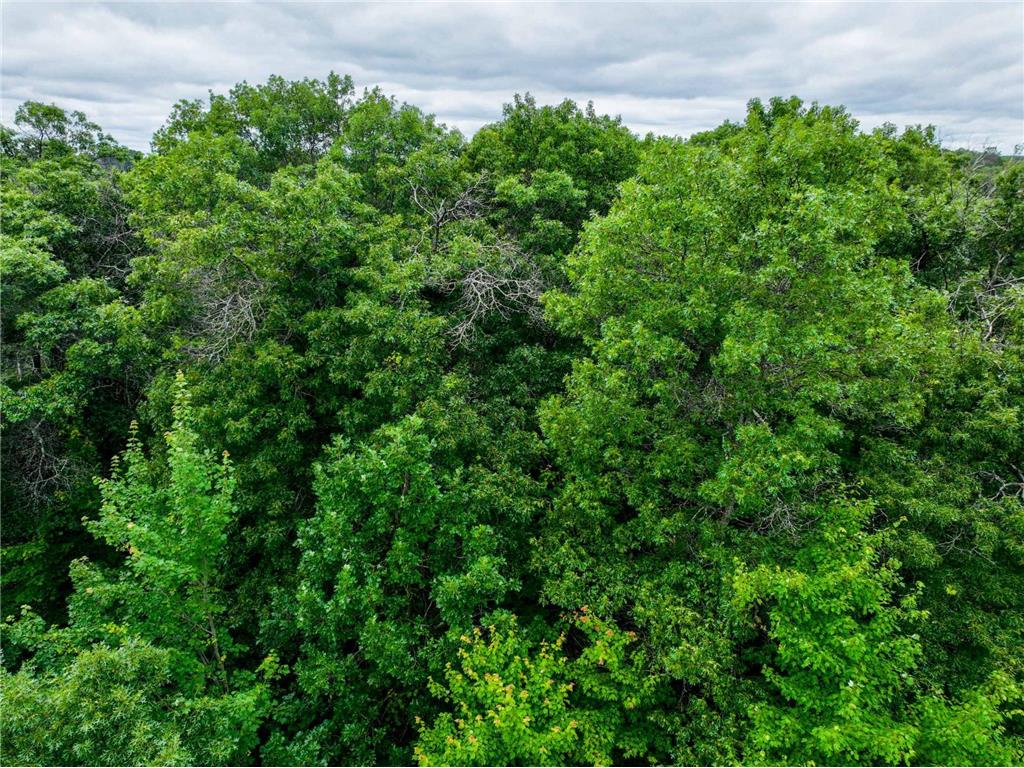L8B2 Sanctuary Lane Brainerd MN 56401 - Gull River 7060794 image10