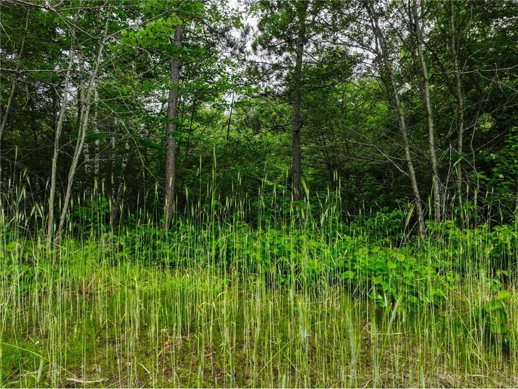 L8B2 Sanctuary Lane Brainerd MN 56401 - Gull River 7060794 image11