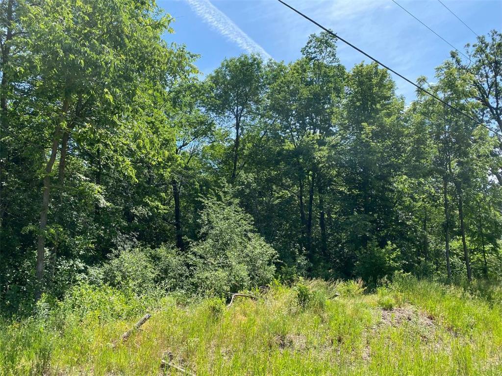 L9 B1 54th Street SE Clear Lake MN 55319 6228674 image1