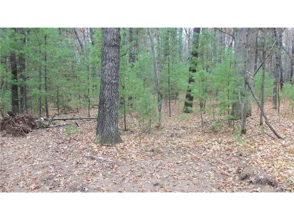 LOT 1 Herman Johnson Rd Siren Twp WI 54872 6815103 image3