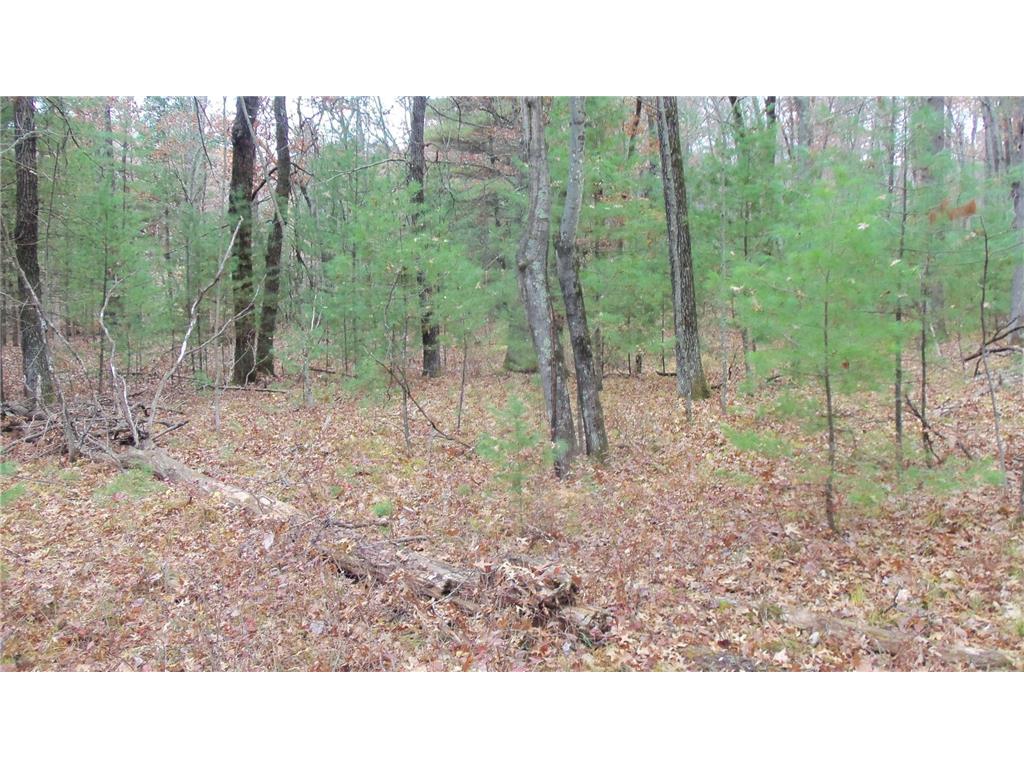 LOT 1 Herman Johnson Rd Siren Twp WI 54872 6815103 image4