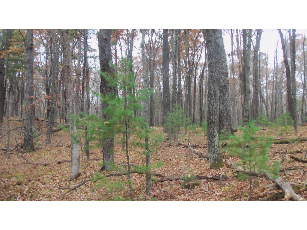 LOT 1 Herman Johnson Rd Siren Twp WI 54872 6815103 image5