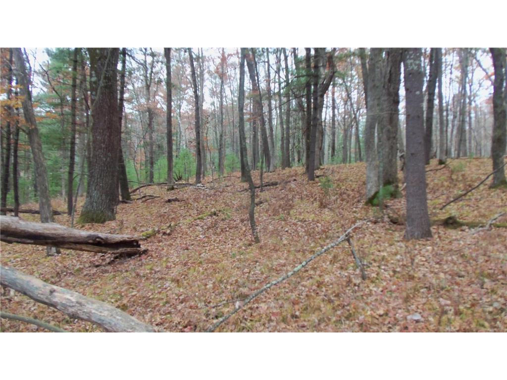LOT 1 Herman Johnson Rd Siren Twp WI 54872 6815103 image6