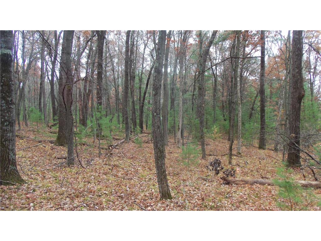 LOT 1 Herman Johnson Rd Siren Twp WI 54872 6815103 image7