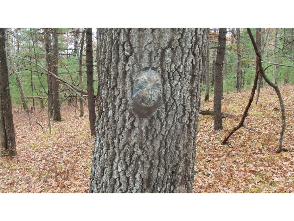 LOT 1 Herman Johnson Rd Siren Twp WI 54872 6815103 image8