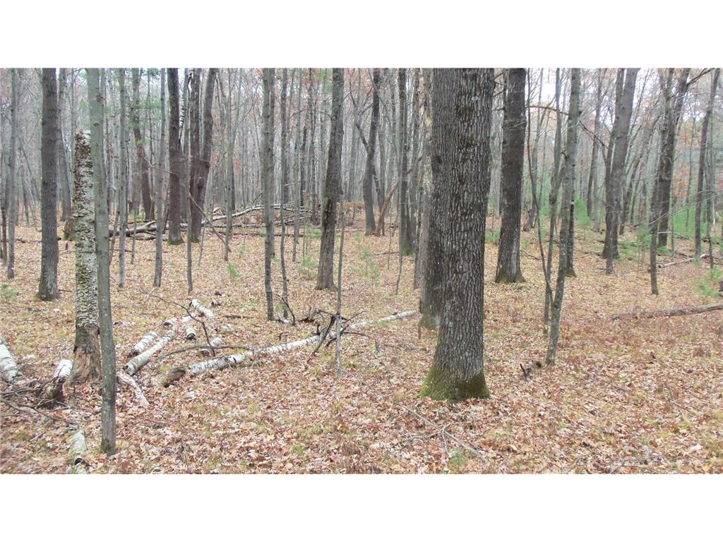 LOT 1 Herman Johnson Rd Siren Twp WI 54872 6815103 image9