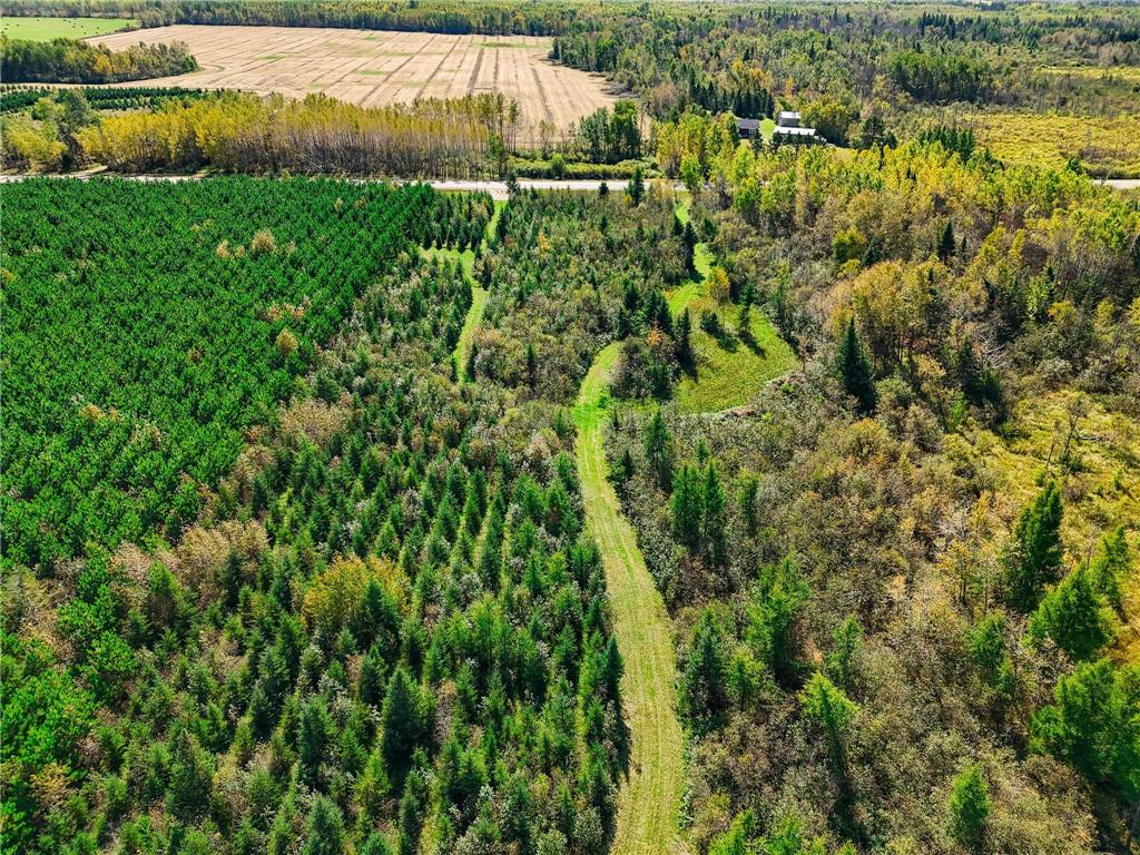 LOT #1 TBD Co 9 Becida MN 56678 6798063 image1