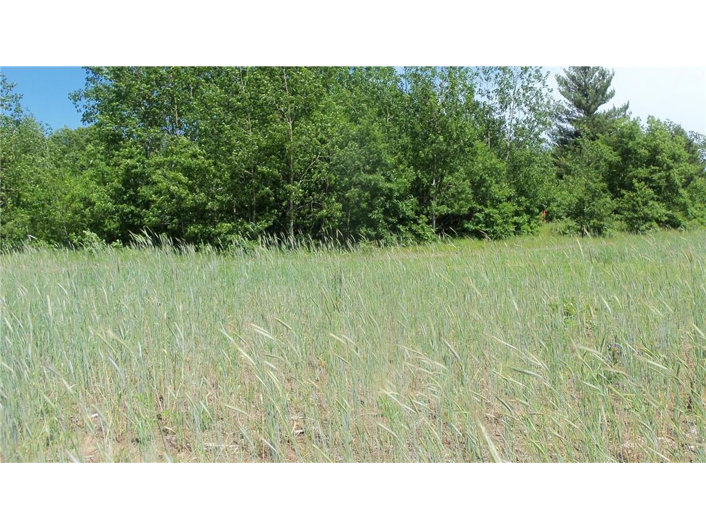 LOT 11 RED MAPLE LN Meenon Twp WI 54872 6580327 image3