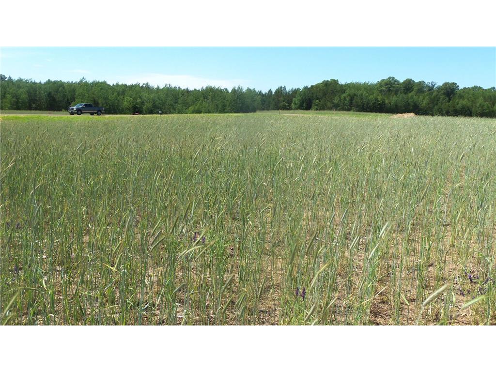 LOT 11 RED MAPLE LN Meenon Twp WI 54872 6580327 image5