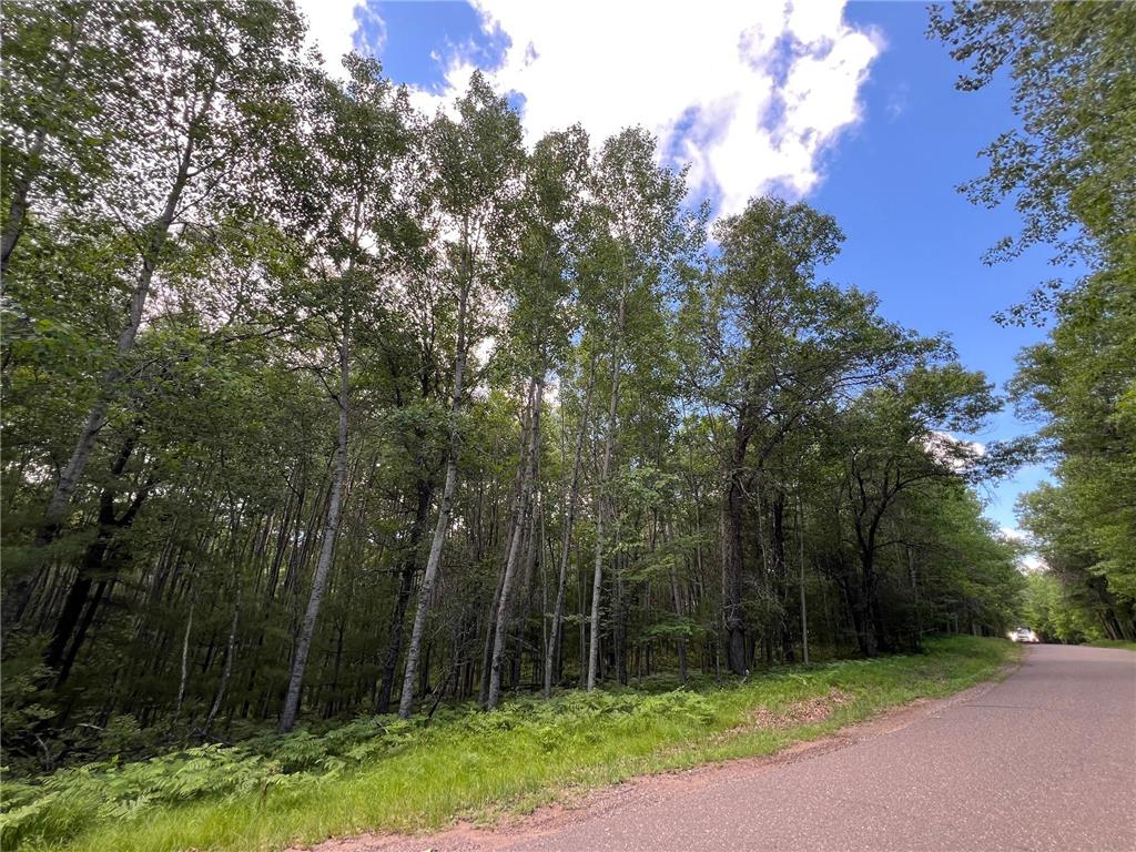 LOT 14 Loon Lake Road Jackson Twp WI 54830 7094467 image15
