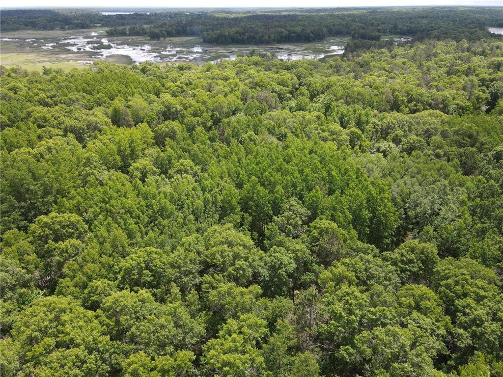 LOT 14 Loon Lake Road Jackson Twp WI 54830 7094467 image3